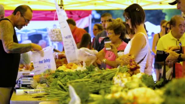 Summer farmers market — Stock Video