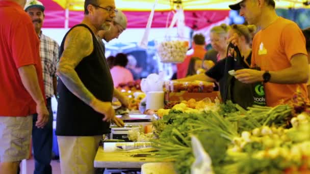 Zomer boerenmarkt — Stockvideo