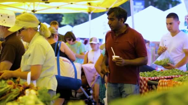 Summer farmers market — Stock Video