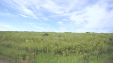 Otlak, Chatfield State Park üzerinden araba araba.