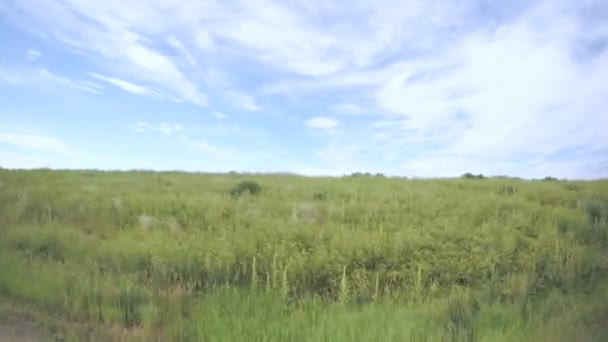 Voiture conduisant à travers les prairies au Chatfield State Park .