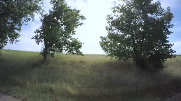 Voiture conduisant à travers les prairies au Chatfield State Park . — Video