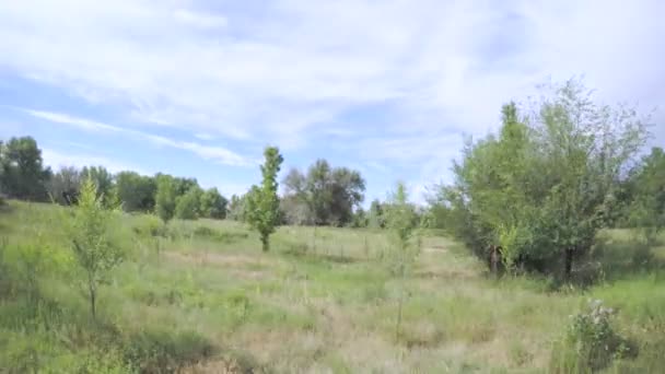 Автомобіля проїжджаючи через campgropund — стокове відео