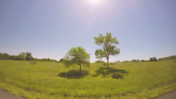 Coche conduciendo a través de pastizales en Chatfield State Park . — Vídeo de stock