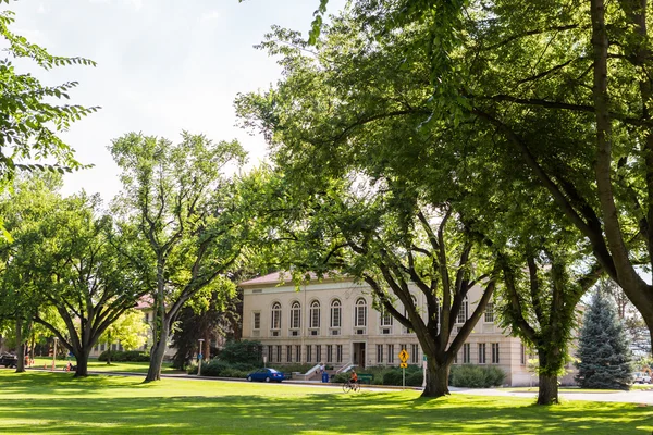 College Campus view — Stock Photo, Image