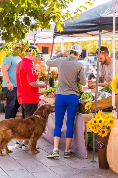 Weekend farmers market — Stock Photo, Image