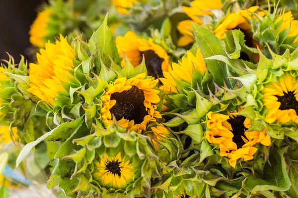 Kwiaciarnie stoisko z żółte kwiaty — Zdjęcie stockowe