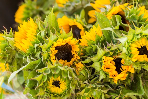 Floristen stehen mit gelben Blumen — Stockfoto