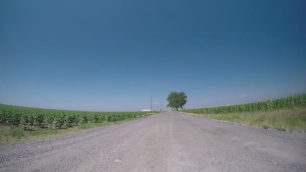 空の道の眺め — ストック動画