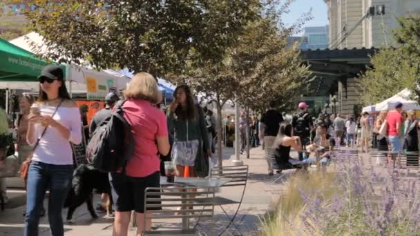 Farmers market at front of the Union Station. — Stock Video