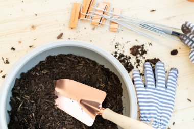 Üst toprağı olan küçük bir saksı ve ahşap bir masada küçük bir bahçe küreği..