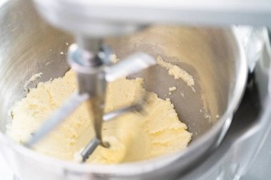 Vanilyalı kek pişirmek için mutfak mikserinin malzemelerini karıştırıyorum..