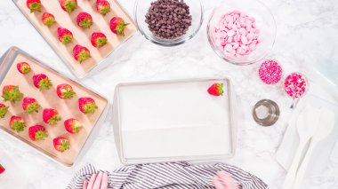 Düz yatıyordu. Adım adım. Çikolata soslu çilek yapmak için bir tepside organik çilek düzenlemek..