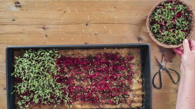 Düz yatıyordu. Yayılma tepsisinden makasla turp mikro sebzeleri topluyorum..