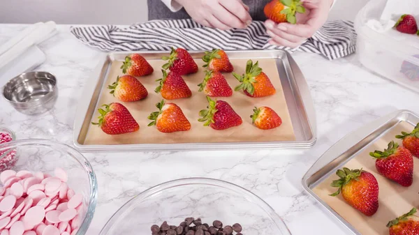 Step Step Arranging Organic Strawberries Baking Sheet Make Chocolate Dipped — Stock Photo, Image