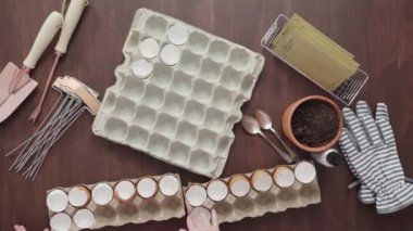 Yumurta kabuklarındaki tohumların görüntüsü 