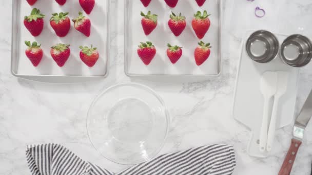 Flach Lag Schritt Für Schritt Verschiedene Schokoladen Erdbeeren — Stockvideo