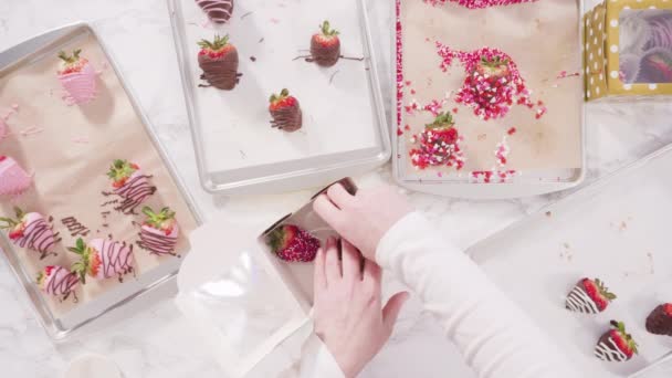 Plat Lay Pas Pas Varietatea Căpșuni Înmuiate Ciocolată — Videoclip de stoc