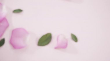 Pembe güller yakın görünüm 