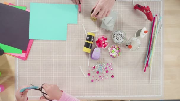 Papercraft Project Colorful Bugs Made Out Empty Toilet Rolls — Stock Video