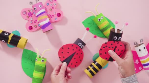 Papercraft Project Colorful Bugs Made Out Empty Toilet Rolls — Stock Video