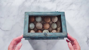 Düz yatıyordu. Renkli çiftlik taze yumurtaları eski yumurta kasalarında..