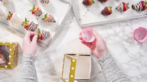 Flach Lag Schritt Für Schritt Verpackung Von Schokolade Eingetauchten Erdbeeren — Stockfoto
