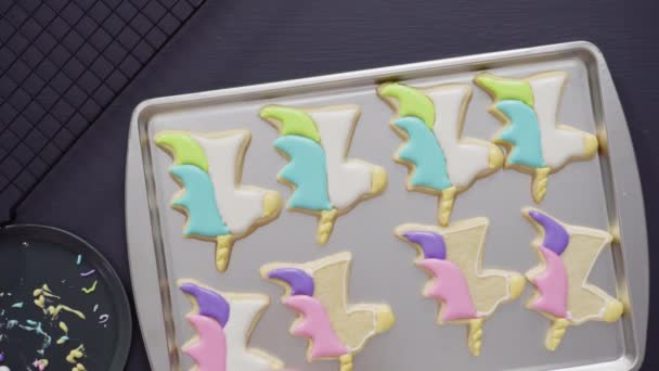 含皇家糖霜的独角兽糖饼干 — 图库视频影像