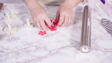 Adım adım. Mermer tezgahın üstünde pembe fondanla kar tanelerini keserek..