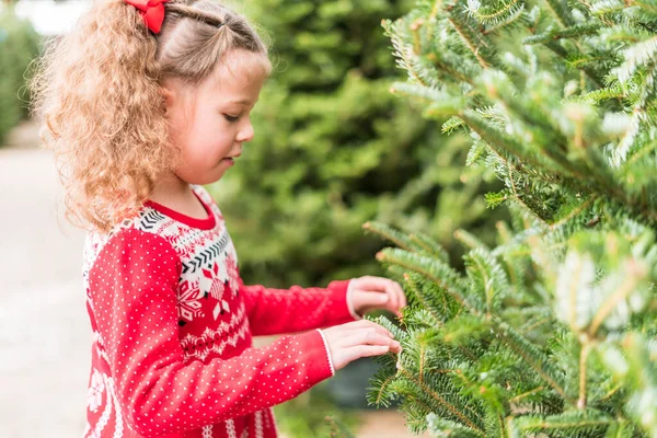 Little Girl Red Dress Christmas Tree Farm — Stock Photo, Image