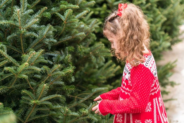 女の子で赤いドレスでクリスマスツリーファーム — ストック写真