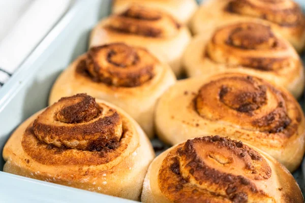 Vers Gebakken Kaneelbroodjes Een Blauwe Bakvorm — Stockfoto