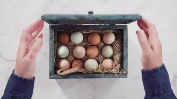 Kutudaki Yumurtalar Yakın — Stok video