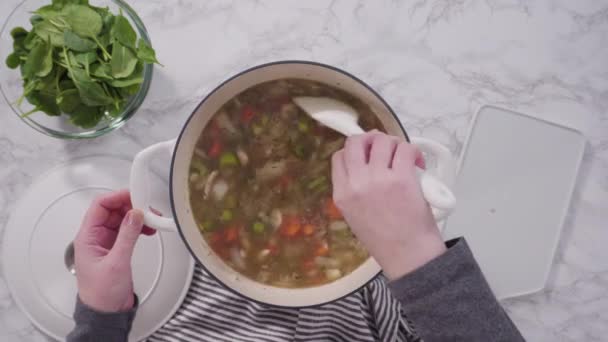 Gătit Supă Vegetariană Fasole Albă Cuptor Olandez Din Fontă — Videoclip de stoc