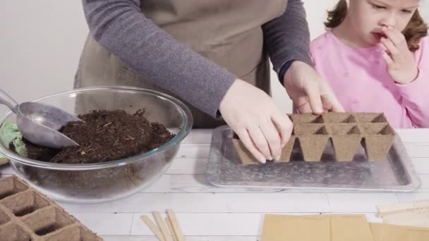 Liten Flicka Som Hjälper Till Att Plantera Örtfrön Små Behållare — Stockvideo