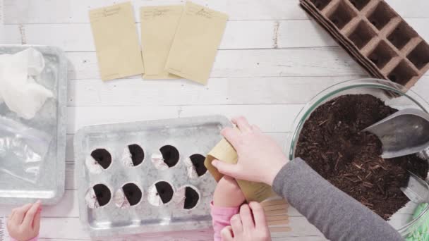 Dívka Pomáhá Zasadit Bylinková Semínka Malých Kontejnerů Pro Domácí Školku — Stock video