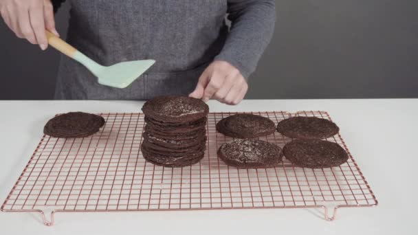 Woman Putting Chocolate Cookies Stock — Stock Video