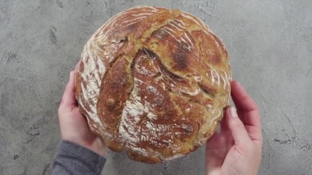 Pain Fraîchement Cuit Levain Blé — Video