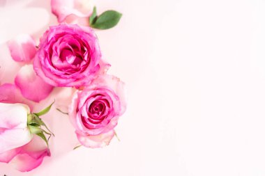 Düz yatıyordu. Pembe güller ve pembe arka planda gül yaprakları.