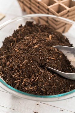 Kapalı sebze bahçesi için tohum ekiyorum..