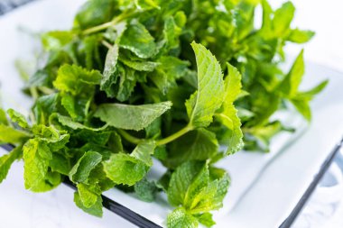 Mermer bir arka planda organik bahçeden taze nane..