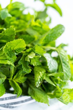 Mermer bir arka planda organik bahçeden taze nane..