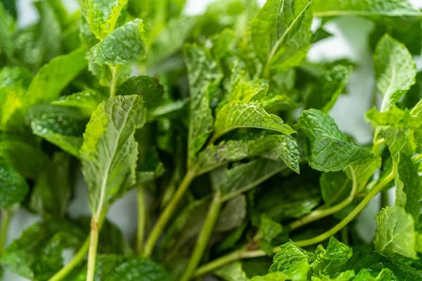 Menta Fresca Dal Giardino Biologico Uno Sfondo Marmo — Foto Stock