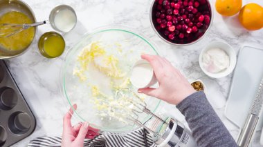 Düz yatıyordu. Adım adım. Kızılcık keki pişirmek için karışımı karıştırıyorum..