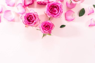 Düz yatıyordu. Pembe güller ve pembe arka planda gül yaprakları.