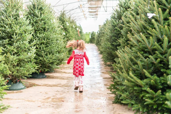 Petite Fille Robe Rouge Ferme Des Arbres Noël — Photo