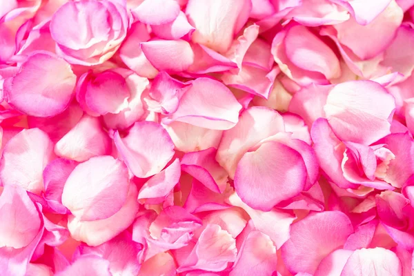 平躺在床上粉红玫瑰花瓣的背景 — 图库照片