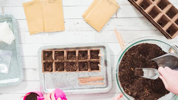 Flach Lag Samen Kleine Gefäße Pflanzen Einen Indoor Kräutergarten Anzulegen — Stockfoto