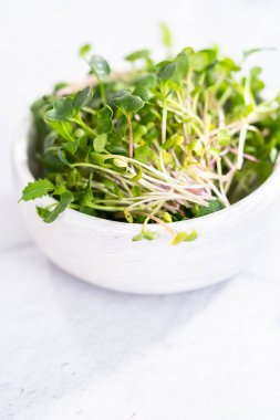 Bir kasede taze toplanmış turp mikroçerezleri..