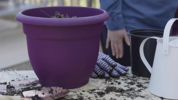 Plantera Blommor Små Planteringskrukor Slutet Våren — Stockvideo